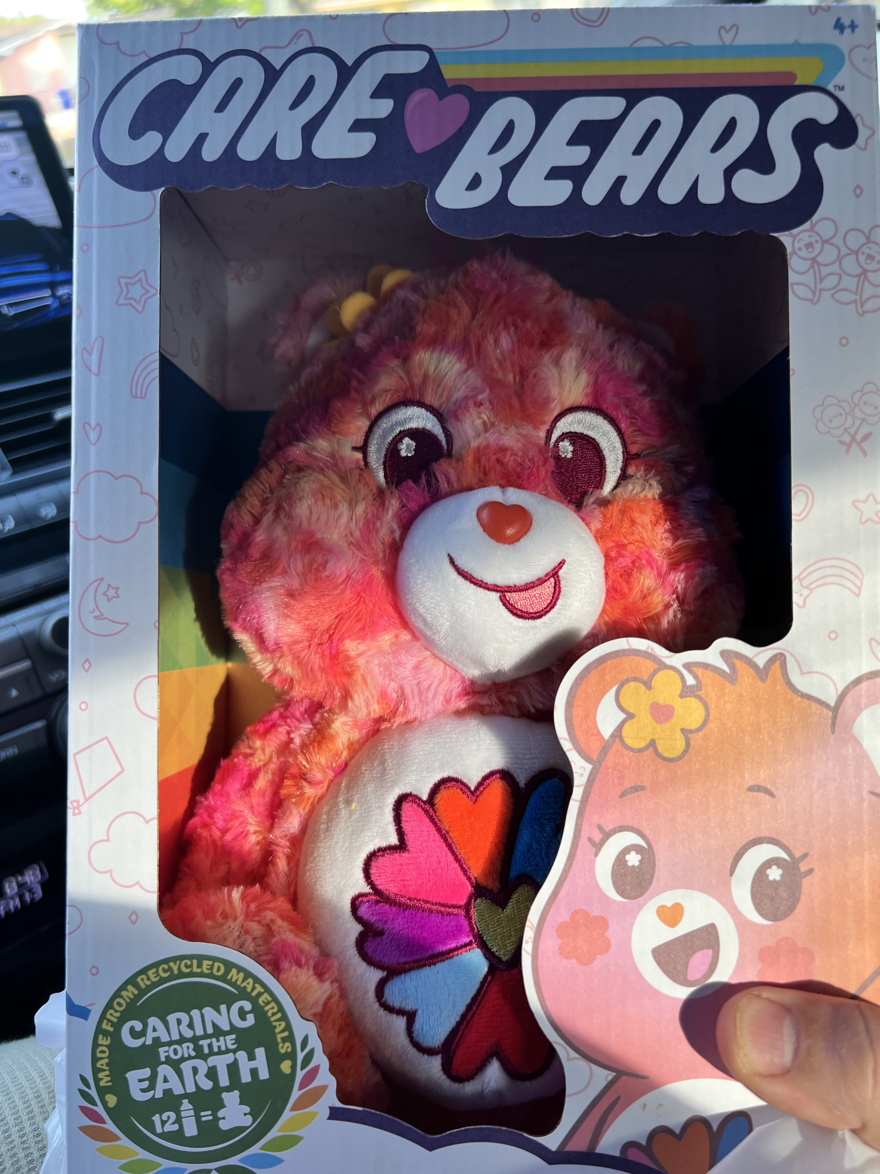 Care Bears Box in Car